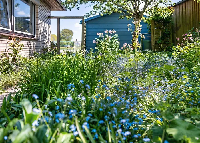 Appartement Ohrt Pellworm